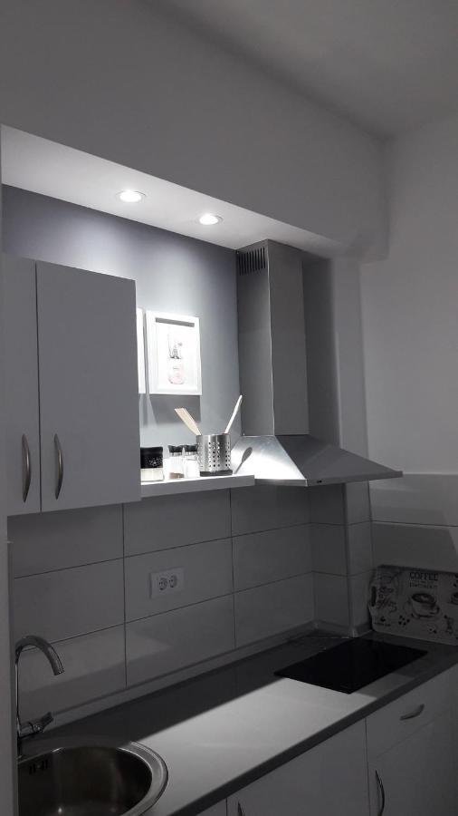Svjetlanalex 2 Apartment Banja Koviljaca Luaran gambar