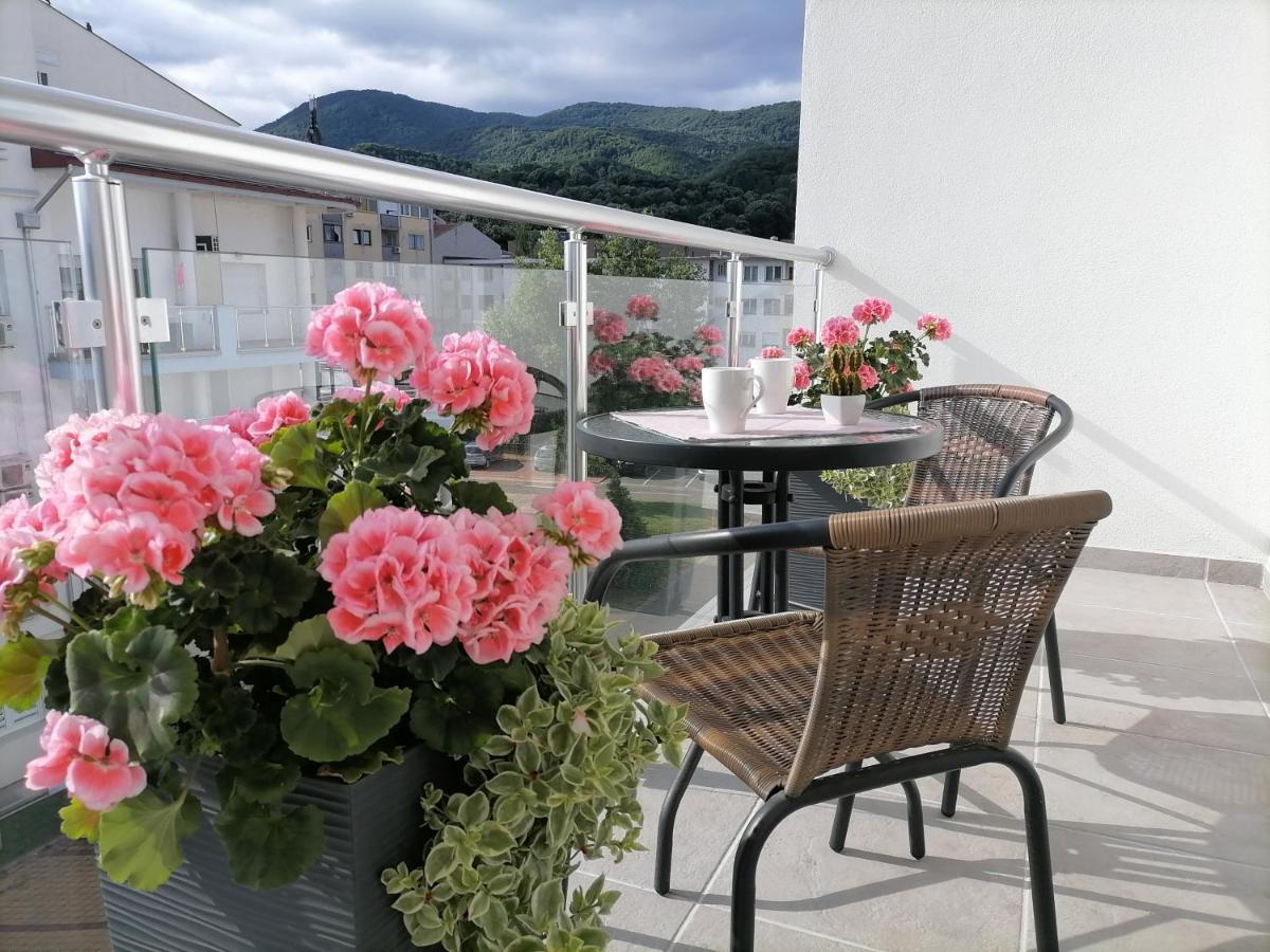 Svjetlanalex 2 Apartment Banja Koviljaca Luaran gambar