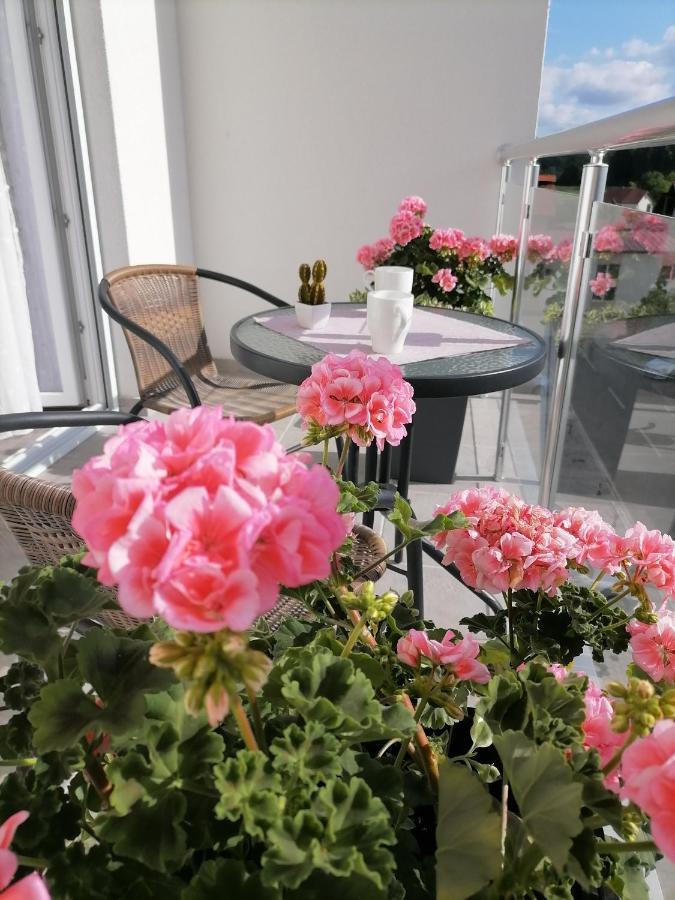 Svjetlanalex 2 Apartment Banja Koviljaca Luaran gambar
